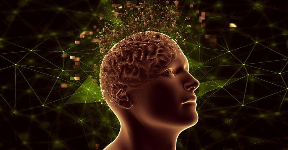 Love Hormone Can Reverse Stress-Induced Digestive Issues, Study Suggests