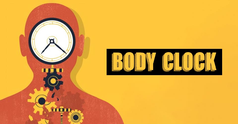 Body Clock 1 Body Clock