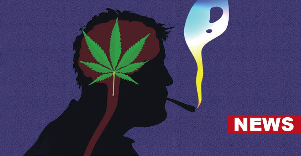 Teenagers More Vulnerable To Cannabis Addiction, But Not Other Mental Health Disorders 1 Teenagers More Vulnerable To Cannabis Addiction, But Not Other Mental Health Disorders