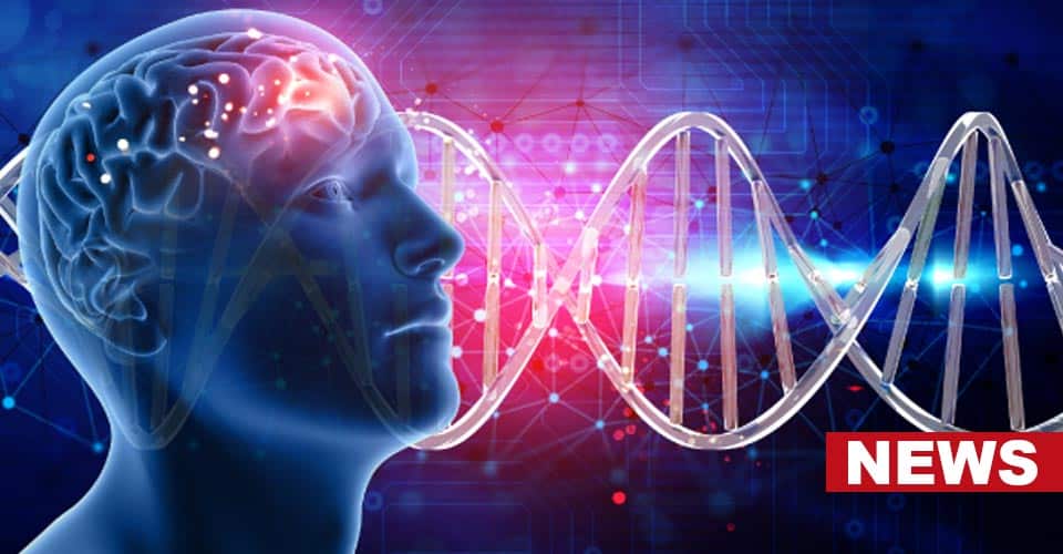 Cell Therapy Can Repair Traumatic Brain Injury: Study Claims 4 Cell Therapy Can Repair Traumatic Brain Injury: Study Claims