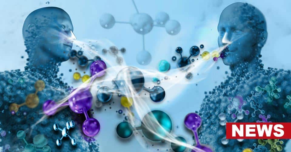 Our Body Odors Determine Our Friendships, Study Finds 5 Our Body Odors Determine Our Friendships, Study Finds