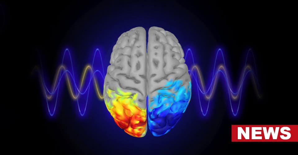Certain Brain Waves Influence Our Social Behavior, Study Finds 4 Certain Brain Waves Influence Our Social Behavior, Study Finds