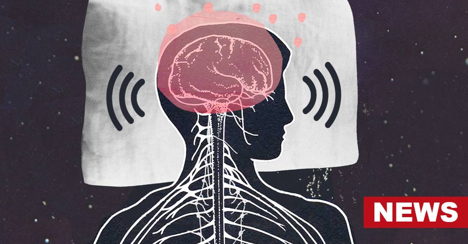 Our Brains Hear Sounds When We Sleep, Study Finds 2 Our Brains Hear Sounds When We Sleep, Study Finds