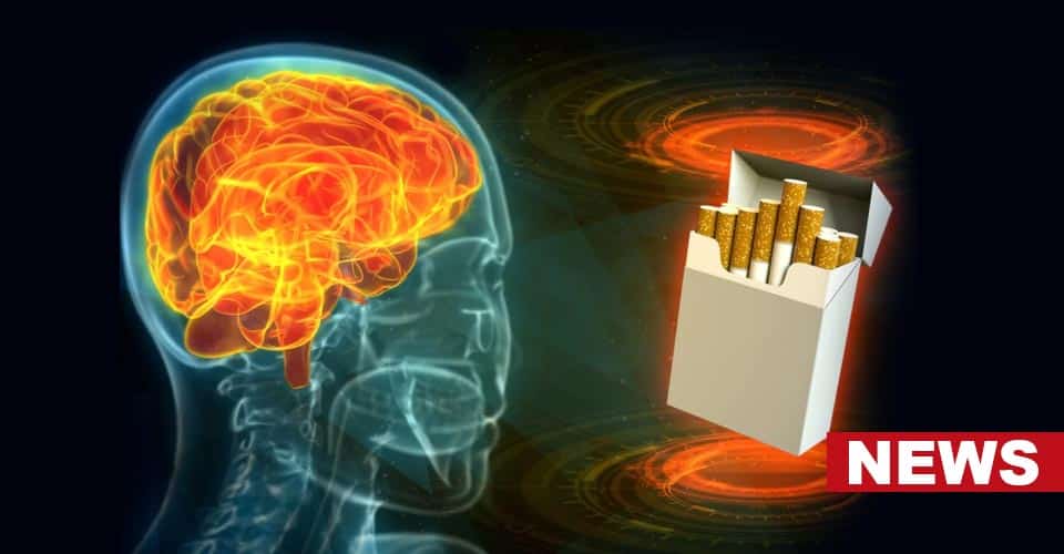 Addiction Remission And The Faulty Brain Circuit: New Study 2 Addiction Remission And The Faulty Brain Circuit: New Study