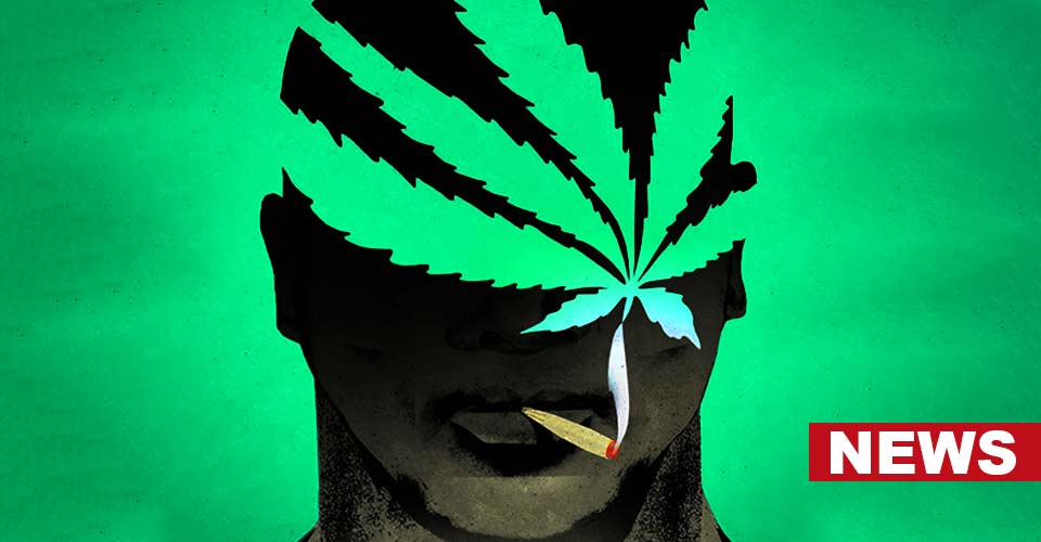 High-Potency Cannabis Use May Cause Severe Mental Disorders: Study 4 High-Potency Cannabis Use May Cause Severe Mental Disorders: Study
