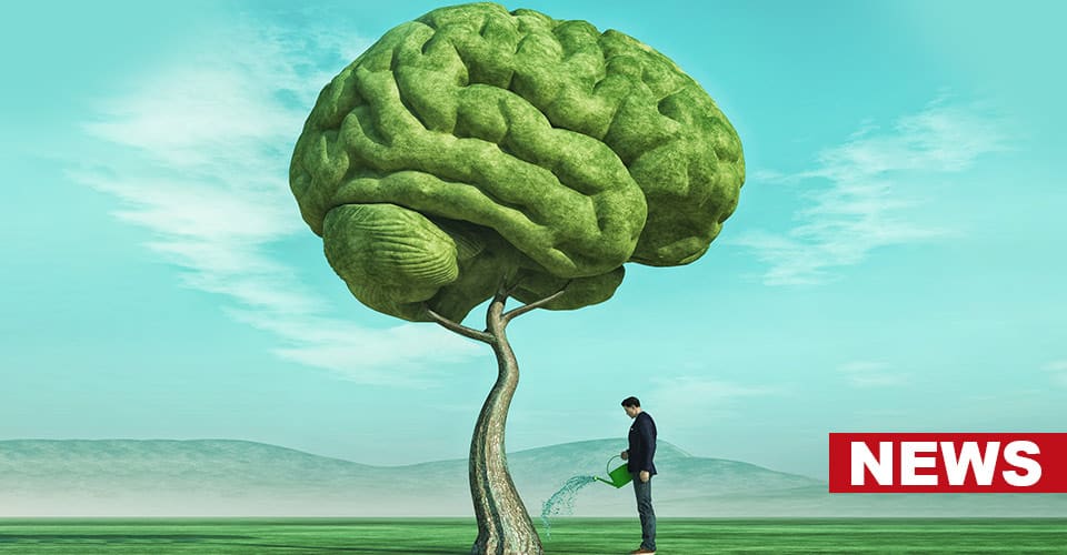 Did You Know Gardening Affects Mental Health? 8 Did You Know Gardening Affects Mental Health?