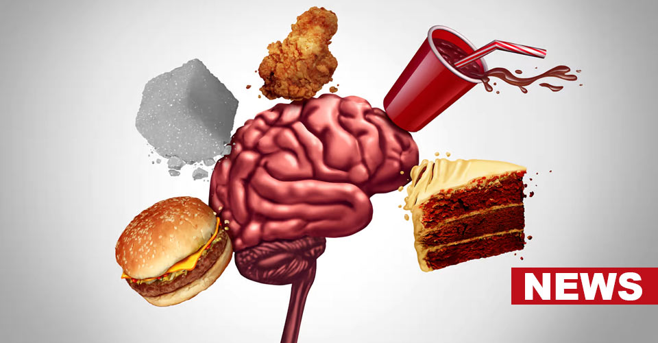 What Drives Cravings For Fatty Foods? Surprising Study Finds 1 What Drives Cravings For Fatty Foods? Surprising Study Finds