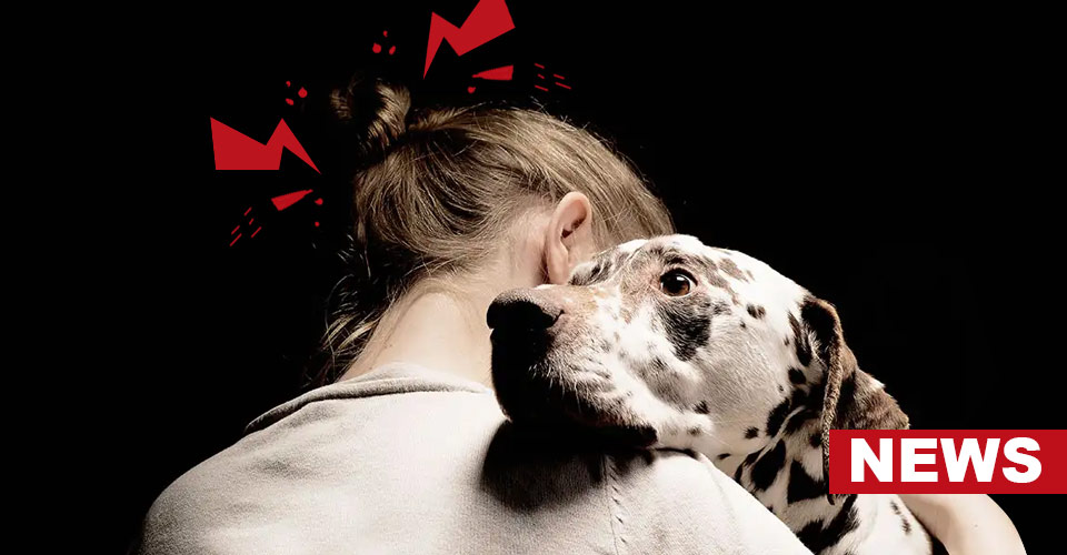 Dogs Can Smell Stress In Humans: Study Finds 13 Dogs Can Smell Stress In Humans: Study Finds