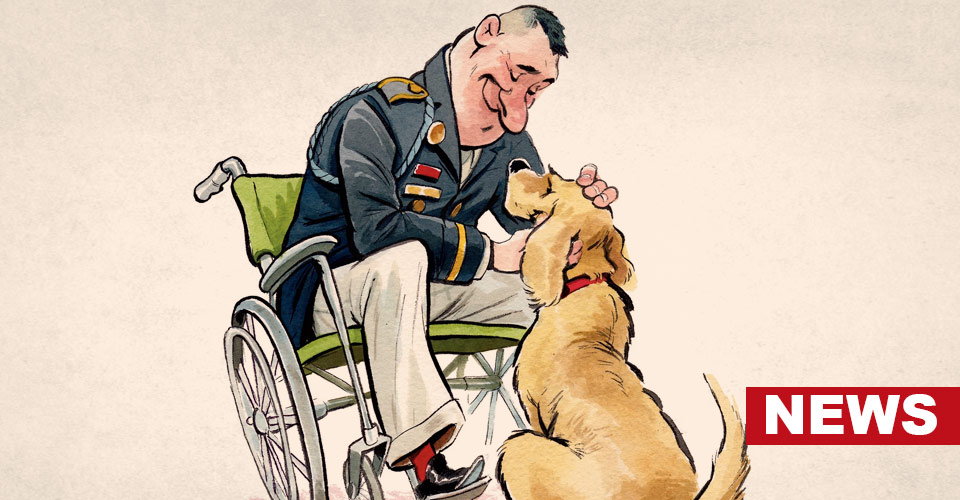 Can PTSD Service Dogs Improve Mental Health In Military Veterans? 12 Can PTSD Service Dogs Improve Mental Health In Military Veterans?
