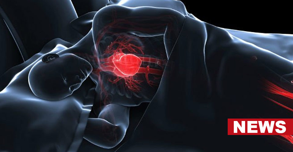 How Are Poor Sleep And Heart Disease Related? Study Reveals 15 How Are Poor Sleep And Heart Disease Related? Study Reveals