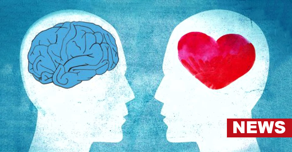 How Do We Remember Positive Or Negative Memories? Study Finds 16 How Do We Remember Positive Or Negative Memories? Study Finds