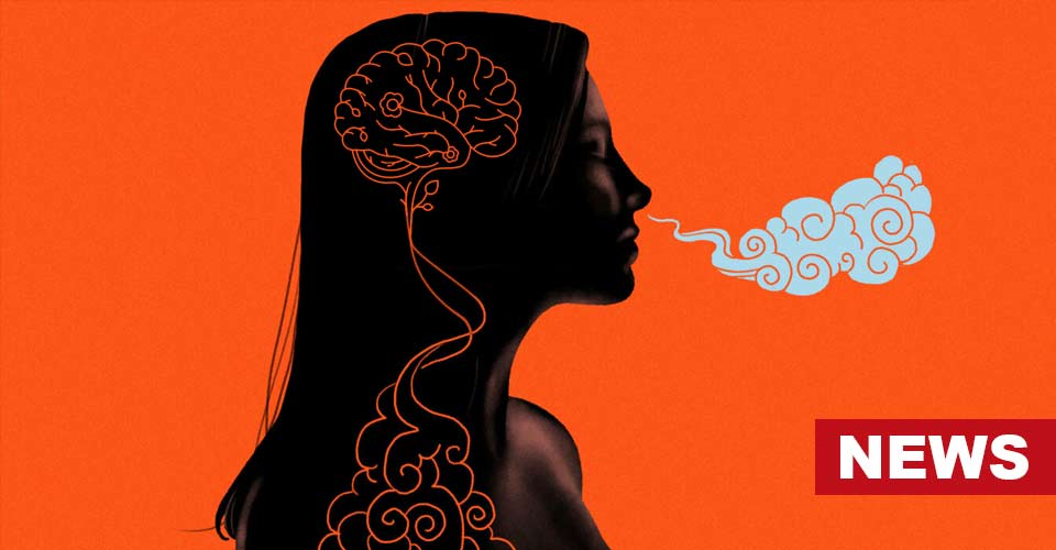 Did You Know Breathing Shapes Our Brain And Mental Health? 12 Did You Know Breathing Shapes Our Brain And Mental Health?