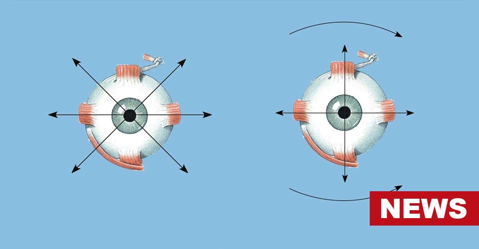 Research Finds What Eye Movements Reveal About Us 9 Research Finds What Eye Movements Reveal About Us