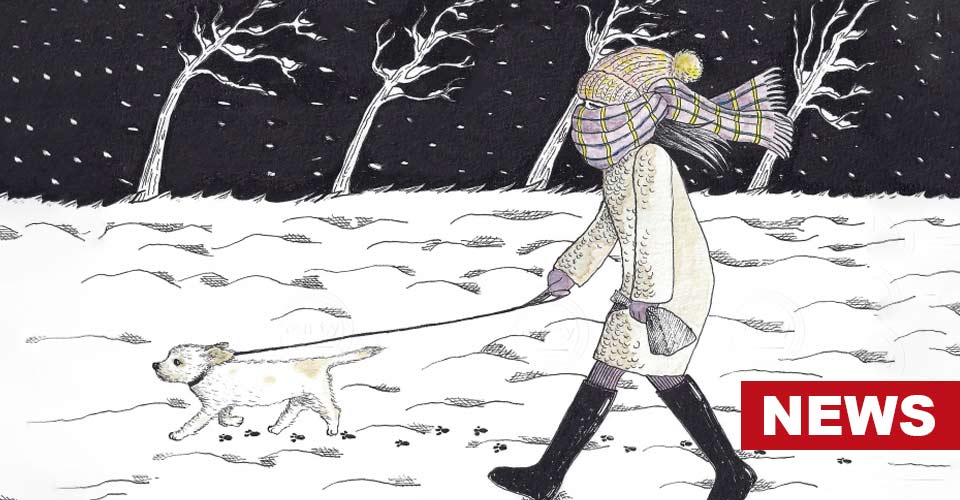 Does Winter Walking Benefit Our Mental Health? 14 Does Winter Walking Benefit Our Mental Health?