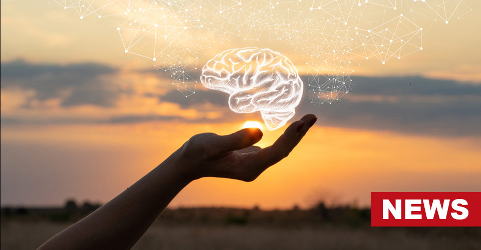 Nature And Mental Health: Did You Know Sunrise And Sunset Improves Mental Well-Being? 1 Sunrise And Sunset Can Affect Mood