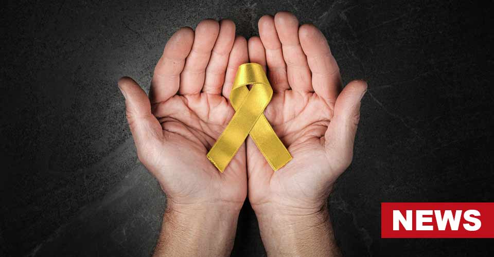 Is India's National Suicide Prevention Strategy Effective? 9 Is India’s National Suicide Prevention Strategy Effective?