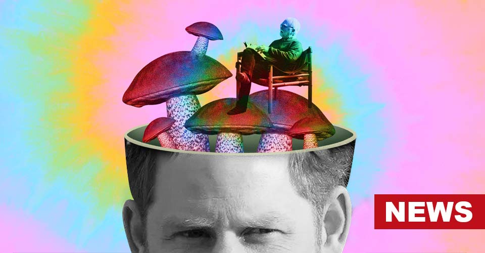 How Effective Is The Use Of Psychedelics In Therapy? 11 How Effective Is The Use Of Psychedelics In Therapy?