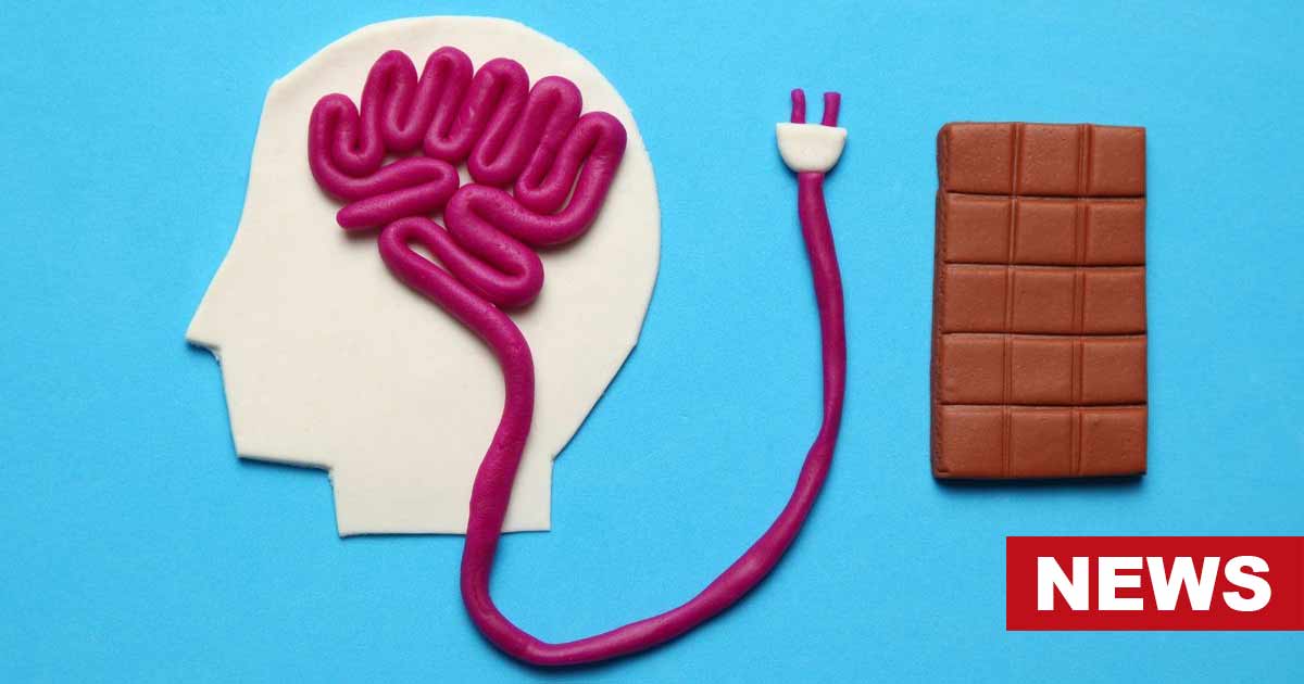 How Do Sweets Change Our Brain? Experts Reveal 12 How Do Sweets Change Our Brain? Experts Reveal