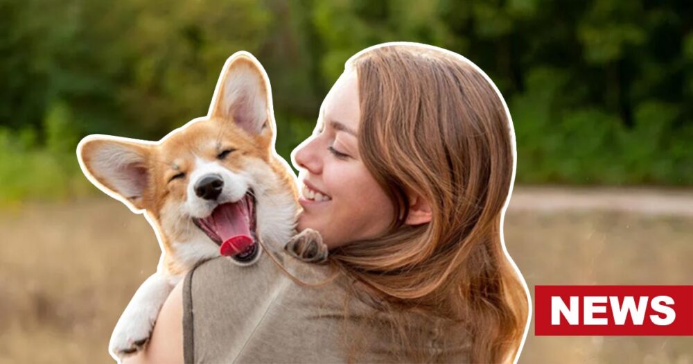 Pawsitively Good Vibes: The Power Of Furry Companions On Mental Health 16 Pawsitively Good Vibes: The Power Of Furry Companions On Mental Health