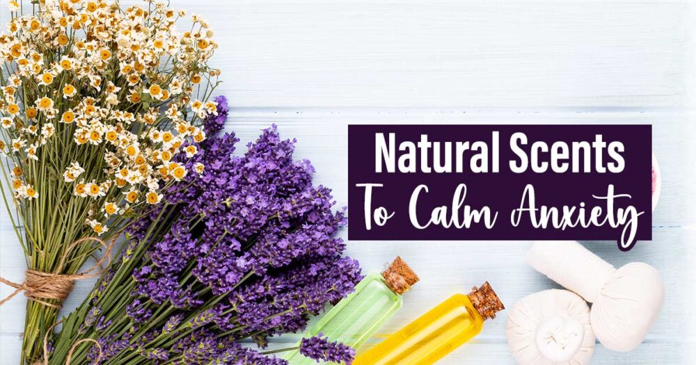 Aromatherapy Allies: The Top 15+ Natural Scents To Soothe Anxiety 15 Aromatherapy Allies: The Top 15+ Natural Scents To Soothe Anxiety
