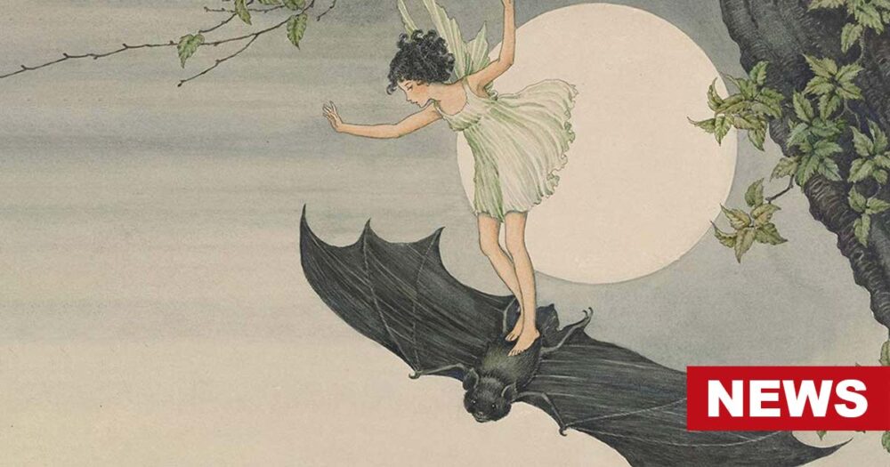 Virtual Escapism Or Mental Health Risk? The Dilemma Around The Viral Fairy Flying Tiktok Trend 16 Virtual Escapism Or Mental Health Risk? The Dilemma Around The Viral Fairy Flying Tiktok Trend