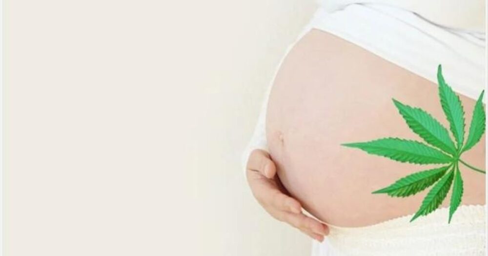 New Study Suggests The Relationship Between Specific Mental Health Disorders And Cannabis Use In Pregnant Women 15 New Study Suggests The Relationship Between Specific Mental Health Disorders And Cannabis Use In Pregnant Women