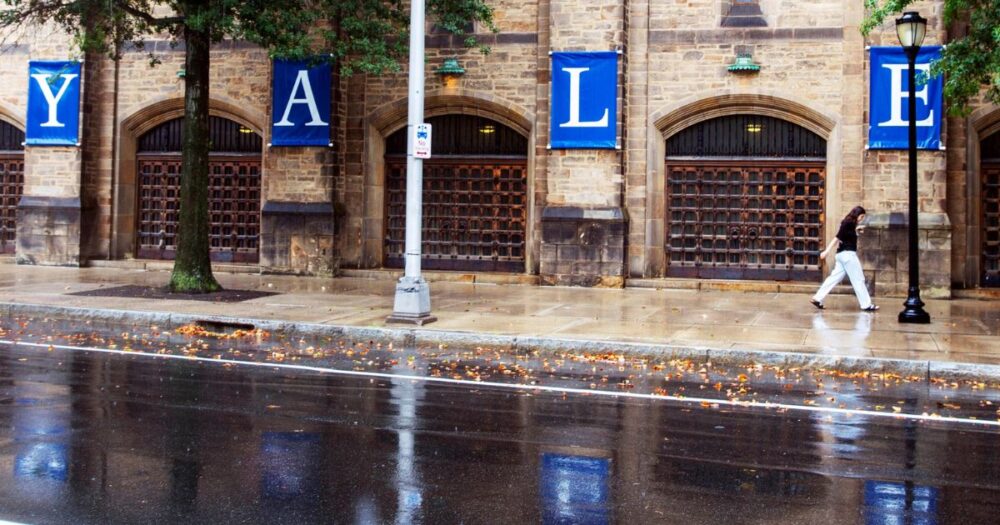 Yale's Settlement Shines A Spotlight On The Mental Health Needs Of College Students 13 Yale’s Settlement Shines A Spotlight On The Mental Health Needs Of College Students