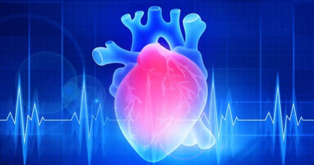 World Heart Day: Emphasizing the Crucial Role of Mental Health Support in Cardiovascular Disease Recovery 16 World Heart Day: Emphasizing the Crucial Role of Mental Health Support in Cardiovascular Disease Recovery