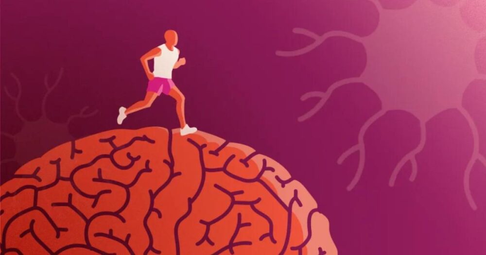 New Research Identifies Three Exercises to Boost Brain Health As You Age 18 New Research Identifies Three Exercises to Boost Brain Health As You Age