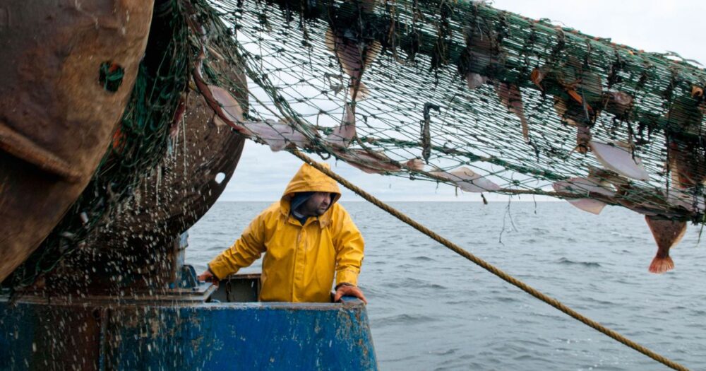 Initiative "Land & Sea Together" Aids Rhode Island's Stress-Stricken Agriculture, Fishing, and Forestry Industries 15 Initiative “Land & Sea Together” Aids Rhode Island’s Stress-Stricken Agriculture, Fishing, and Forestry Industries