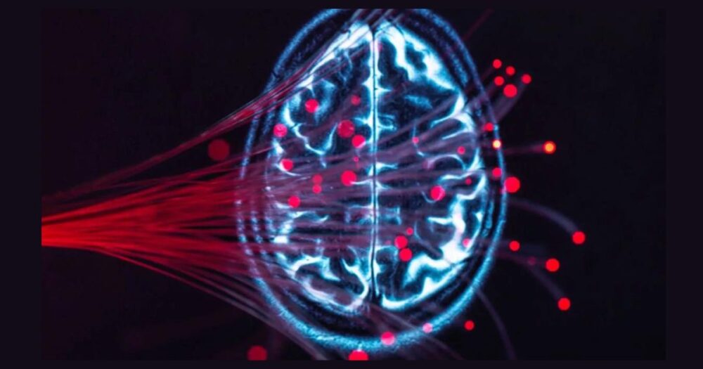 The Link Between Diet and Declining Brain Health: A Growing Mental Health Epidemic 16 The Link Between Diet and Declining Brain Health: A Growing Mental Health Epidemic
