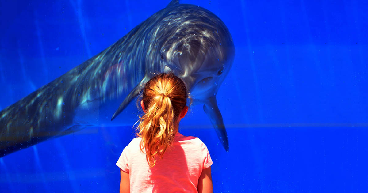 What is Dolphin Parenting Style? 5 Effective Strategies That Work Wonders for Kids 4 What is Dolphin Parenting Style? 5 Effective Strategies That Work Wonders for Kids