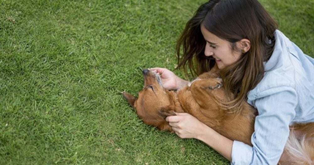 Unveiling the Depths of Owner-Pet Dynamics: Groundbreaking Study Examines Mental Wellbeing and Attachment Styles 28 Unveiling the Depths of Owner-Pet Dynamics: Groundbreaking Study Examines Mental Wellbeing and Attachment Styles