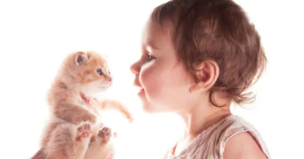 New Study Suggests Link Between Childhood Cat Ownership and Mental Health Disorders 20 New Study Suggests Link Between Childhood Cat Ownership and Mental Health Disorders
