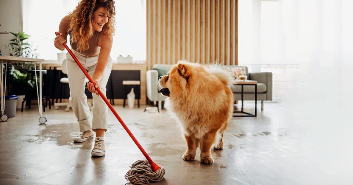 5 Expert House Cleaning Tips For Pet Owners To Keep Your Home Fur-Free 7 5 Expert House Cleaning Tips For Pet Owners To Keep Your Home Fur-Free