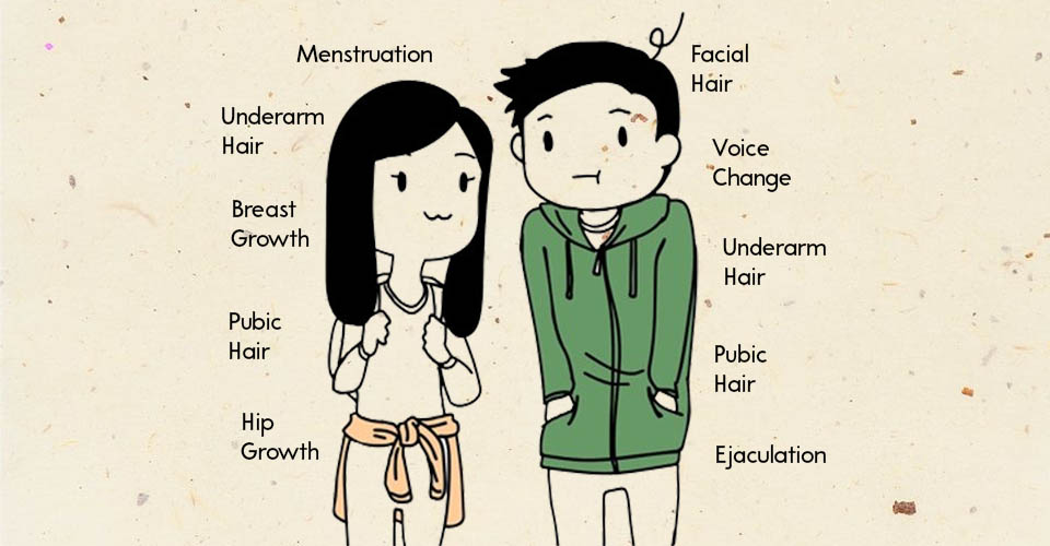 5 Stages Of Puberty In Children Every Parent Should Know! 8 5 Stages Of Puberty In Children Every Parent Should Know!